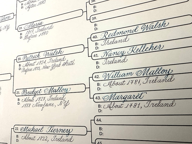 How far back can you go back on your family tree? My honest answer