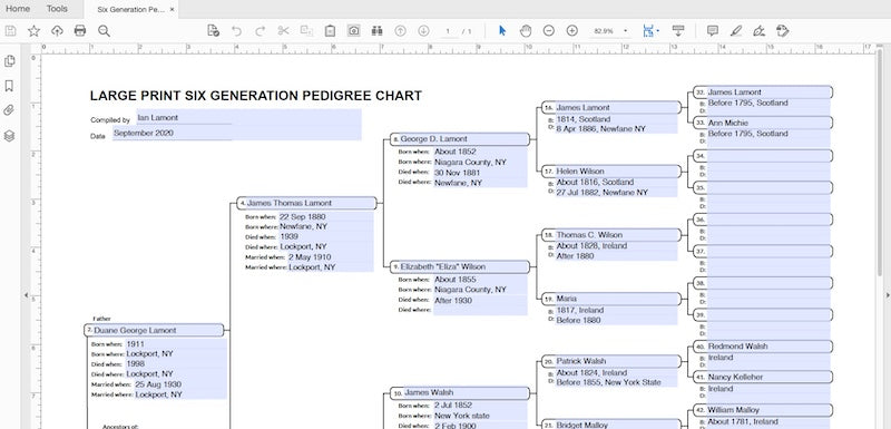 Why we don't trust Adobe Cloud to store genealogy PDFs