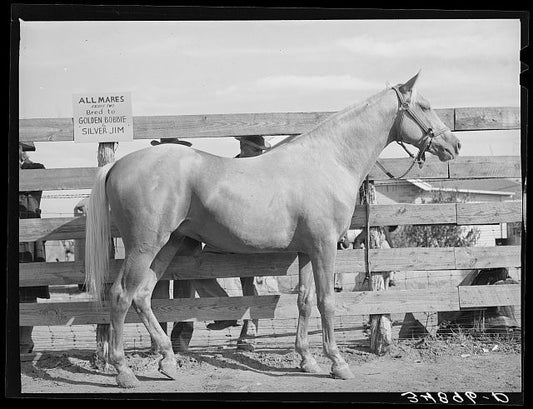 idiom about horses - image source library of congress, 1939