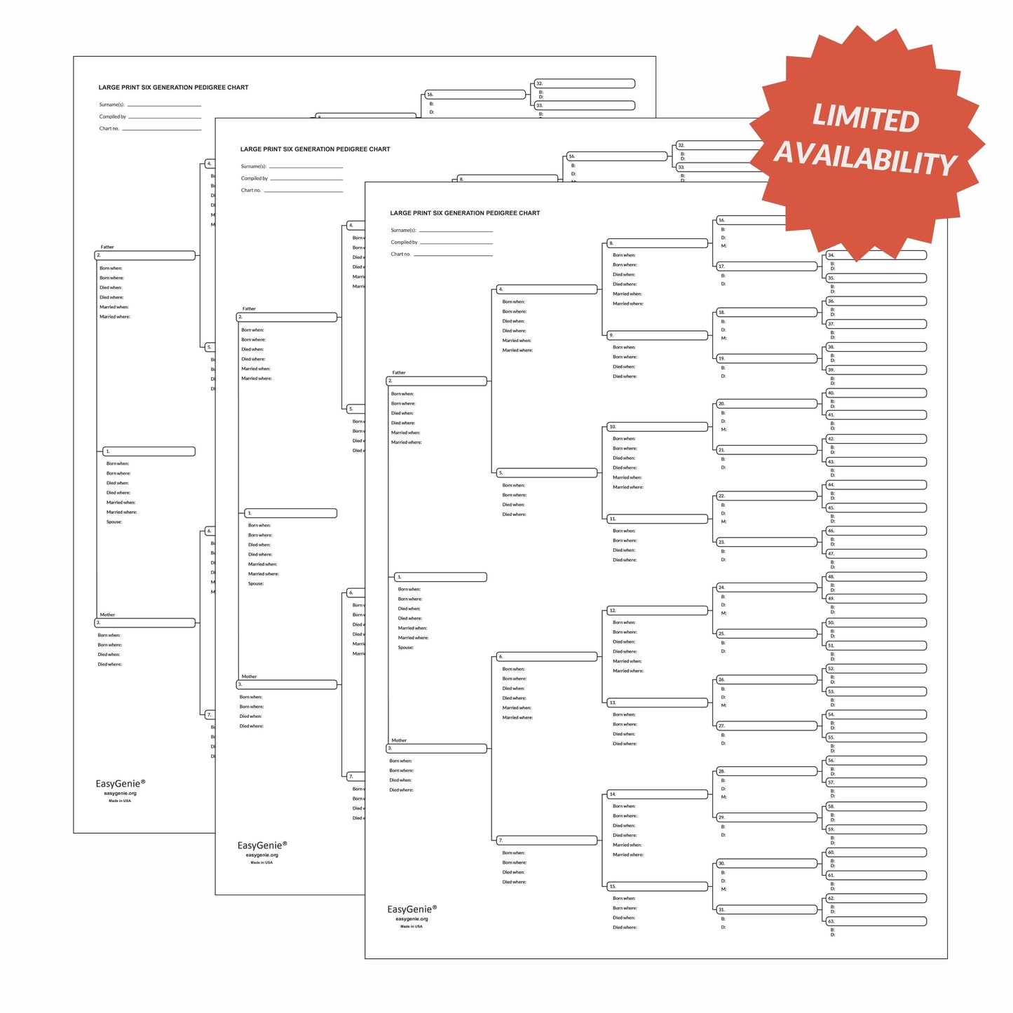 Unfolded 6-generation pedigree charts (3 pack)