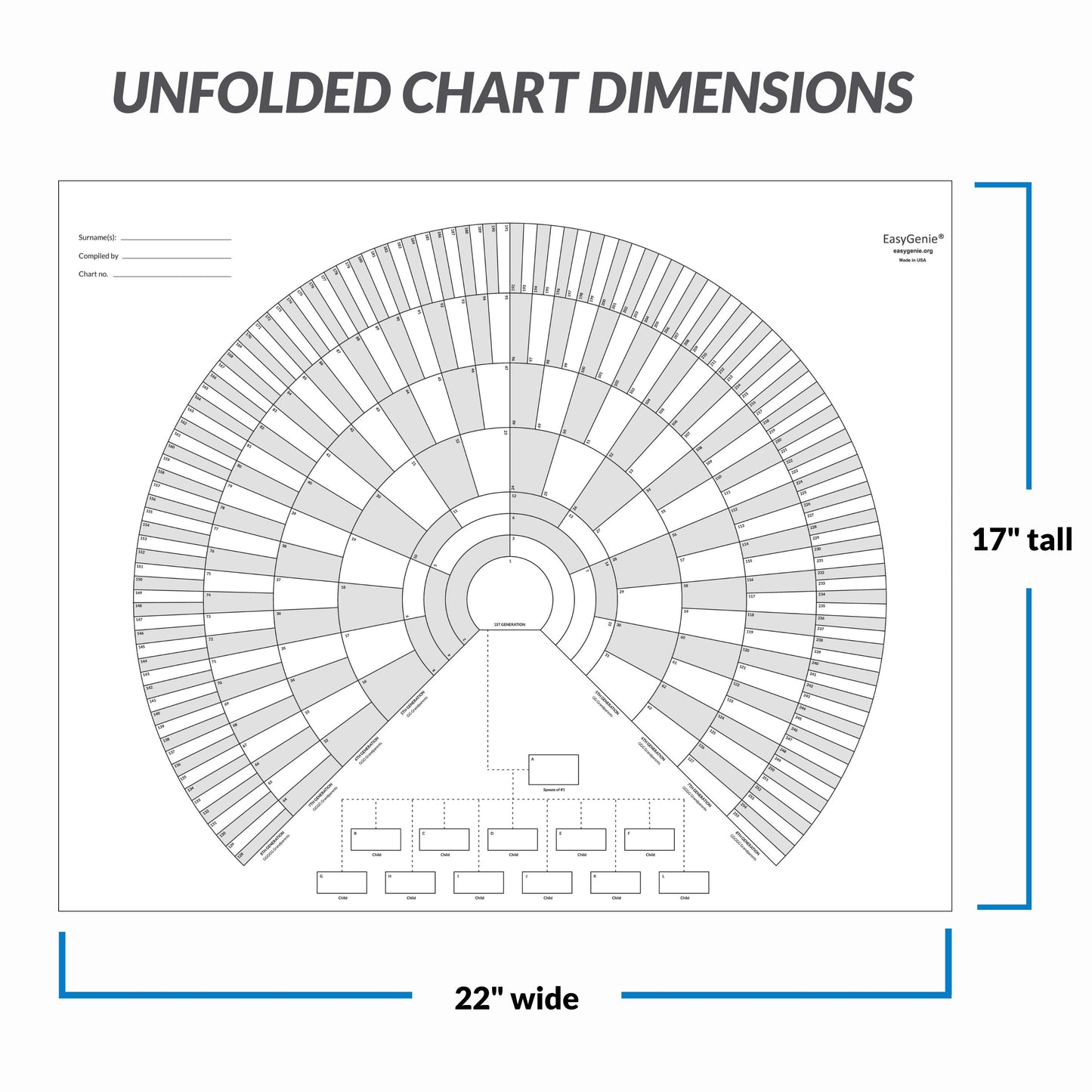 Unfolded 9-generation fan charts (3 pack)