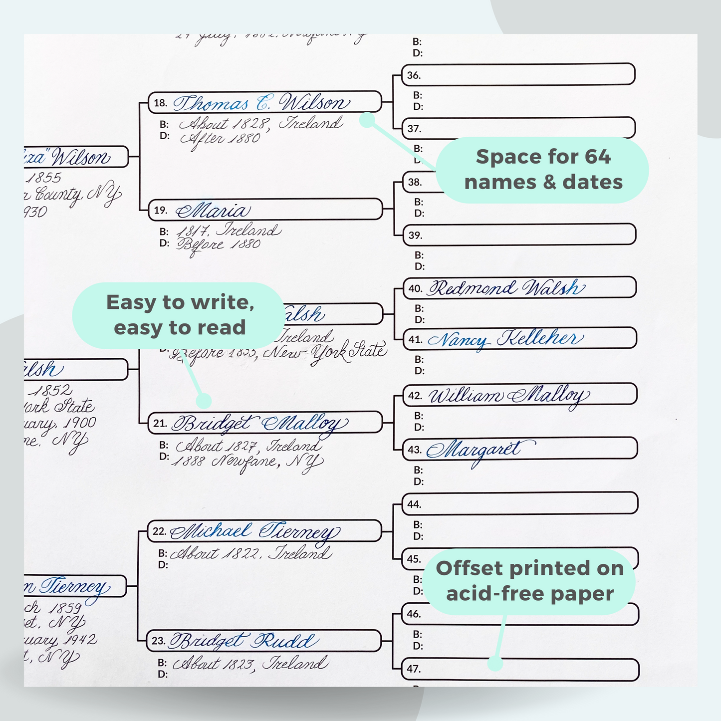 Pedigree charts | 6-generation charts for tracking ancestry (10 LARGE PRINT sheets)