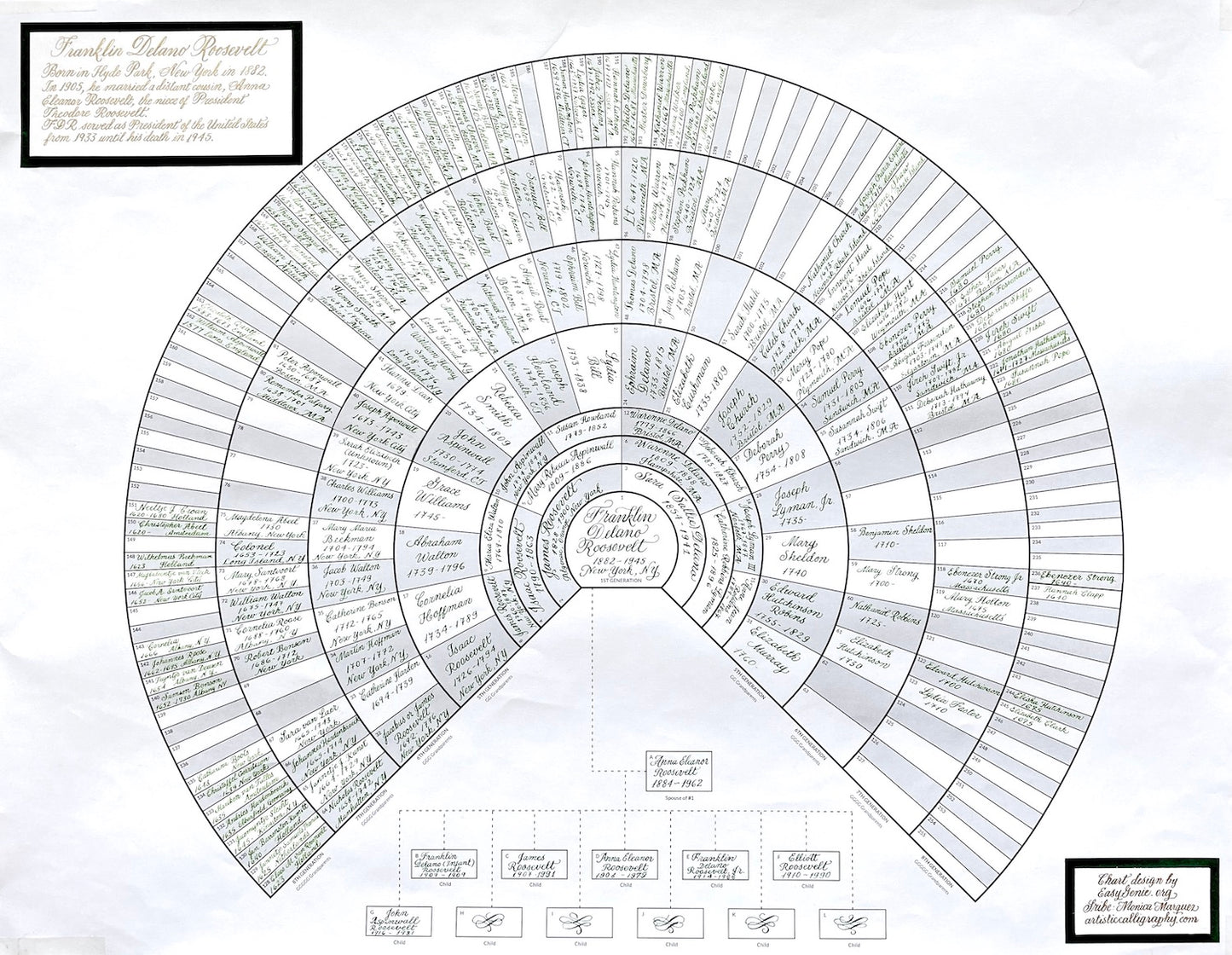 Unfolded 9-generation fan charts (3 pack)