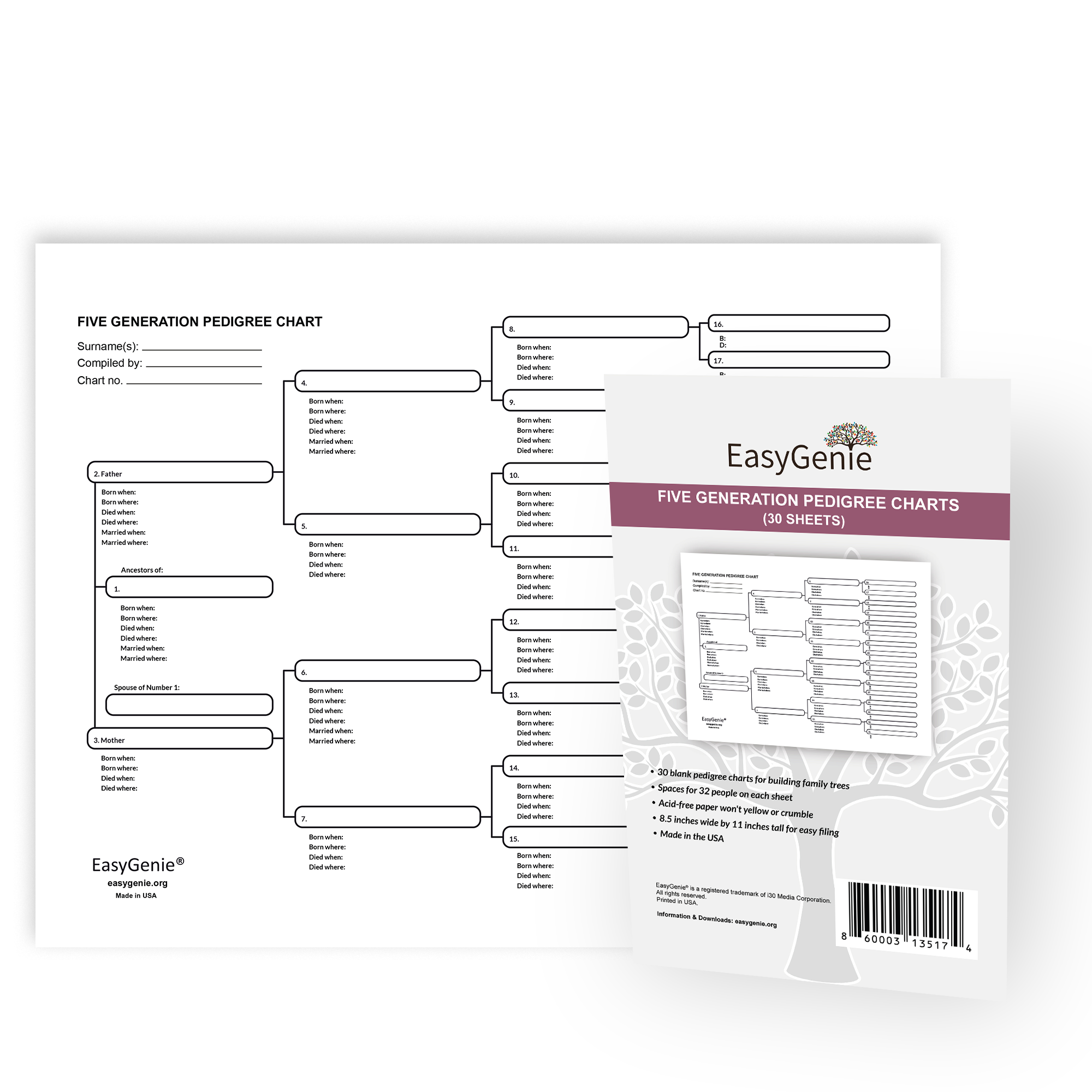 Five Generation Pedigree Chart Template