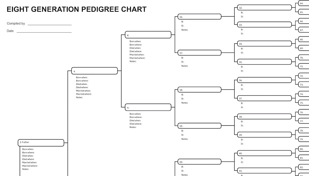 TEN Blank Pedigree Charts (8 generations/256 names per sheet)