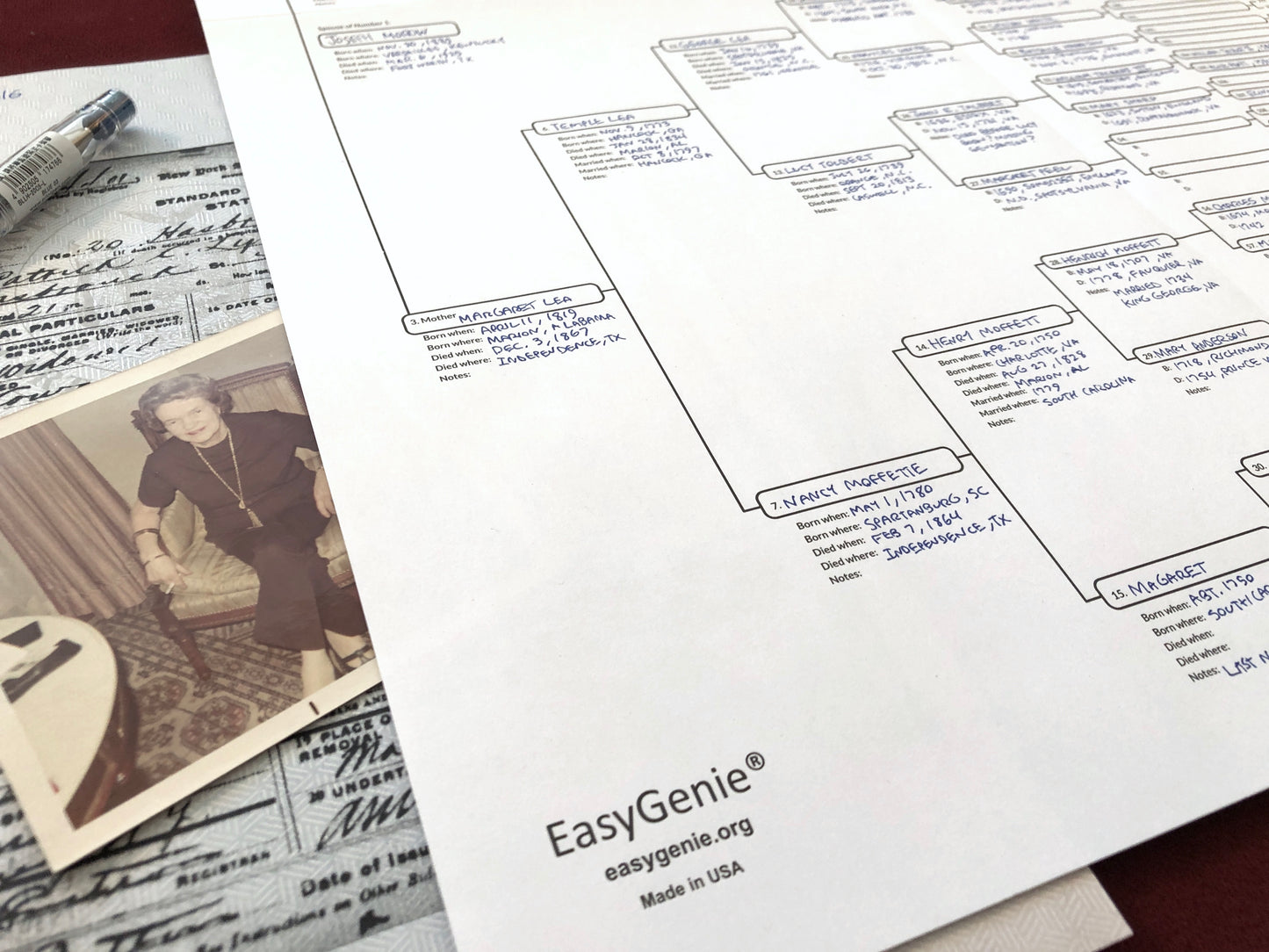 TEN Blank Pedigree Charts (8 generations/256 names per sheet)