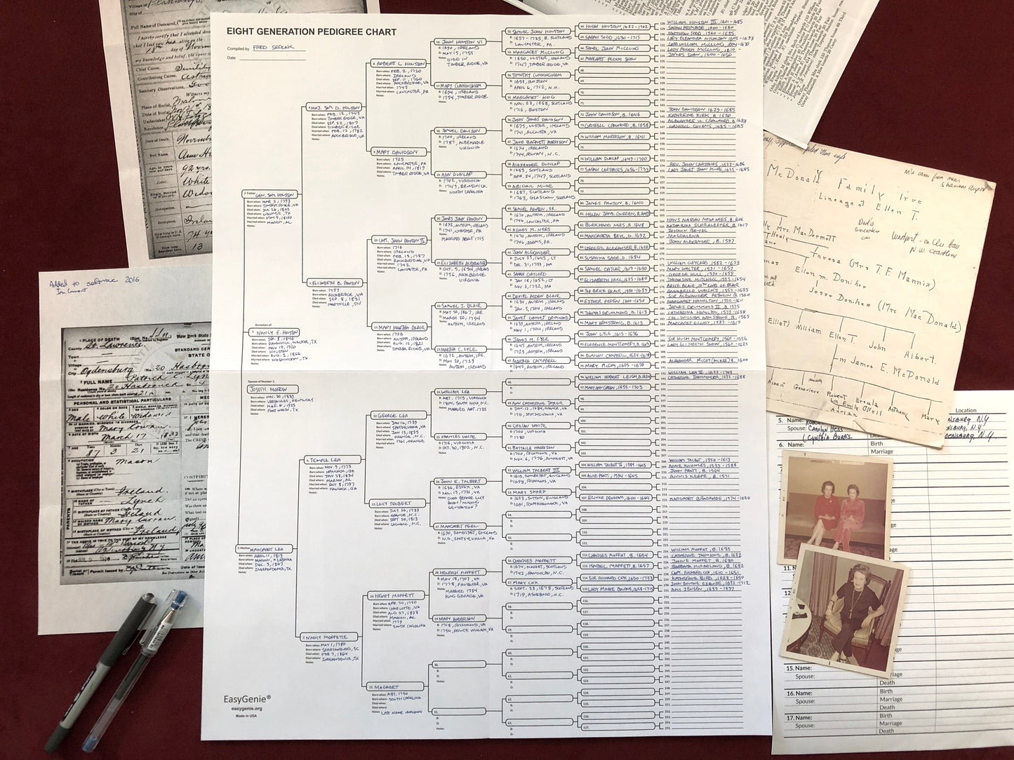 TEN Blank Pedigree Charts (8 generations/256 names per sheet)