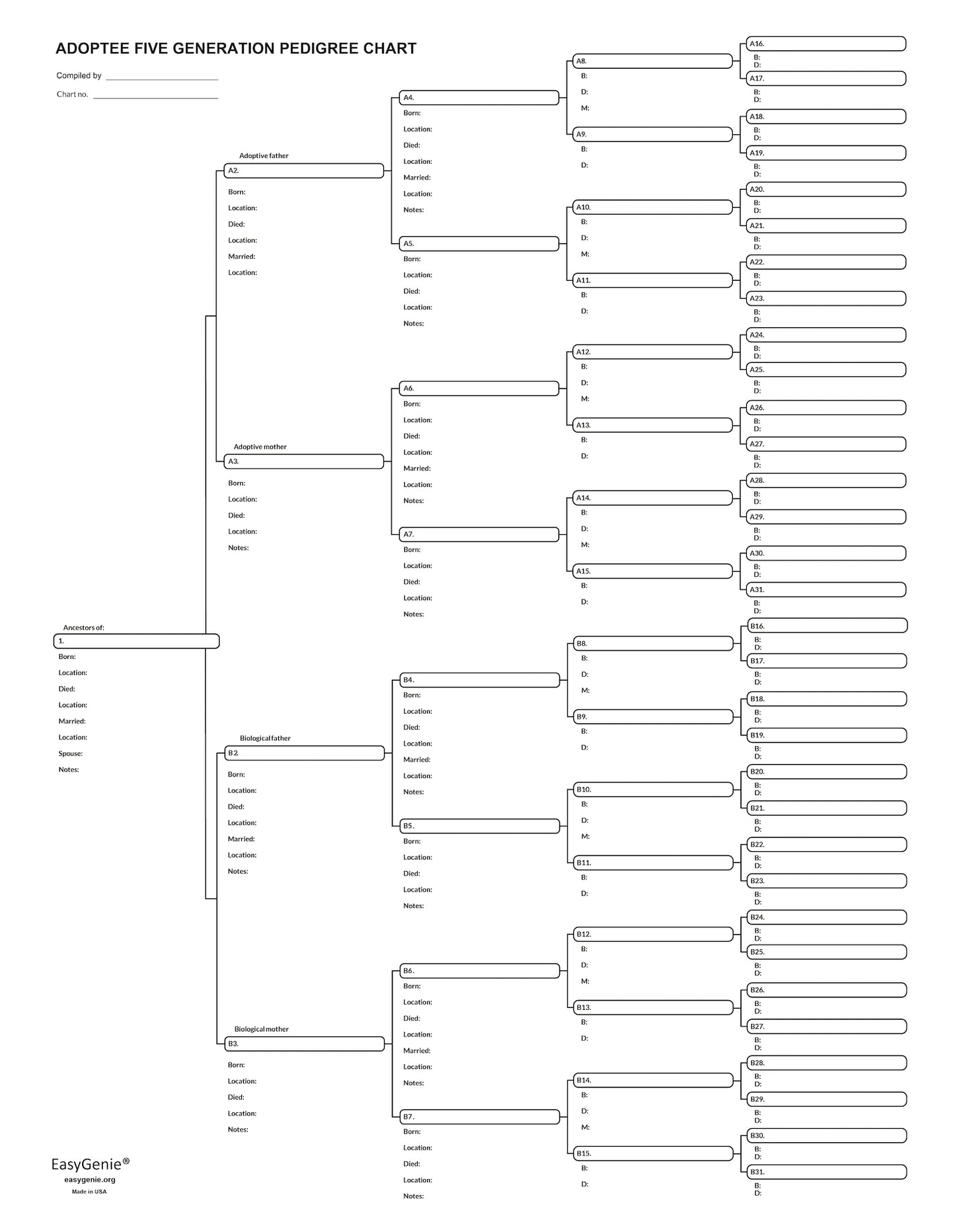 Adopted Family Genealogy Kit (12 Large Print Sheets, Instructions Included)
