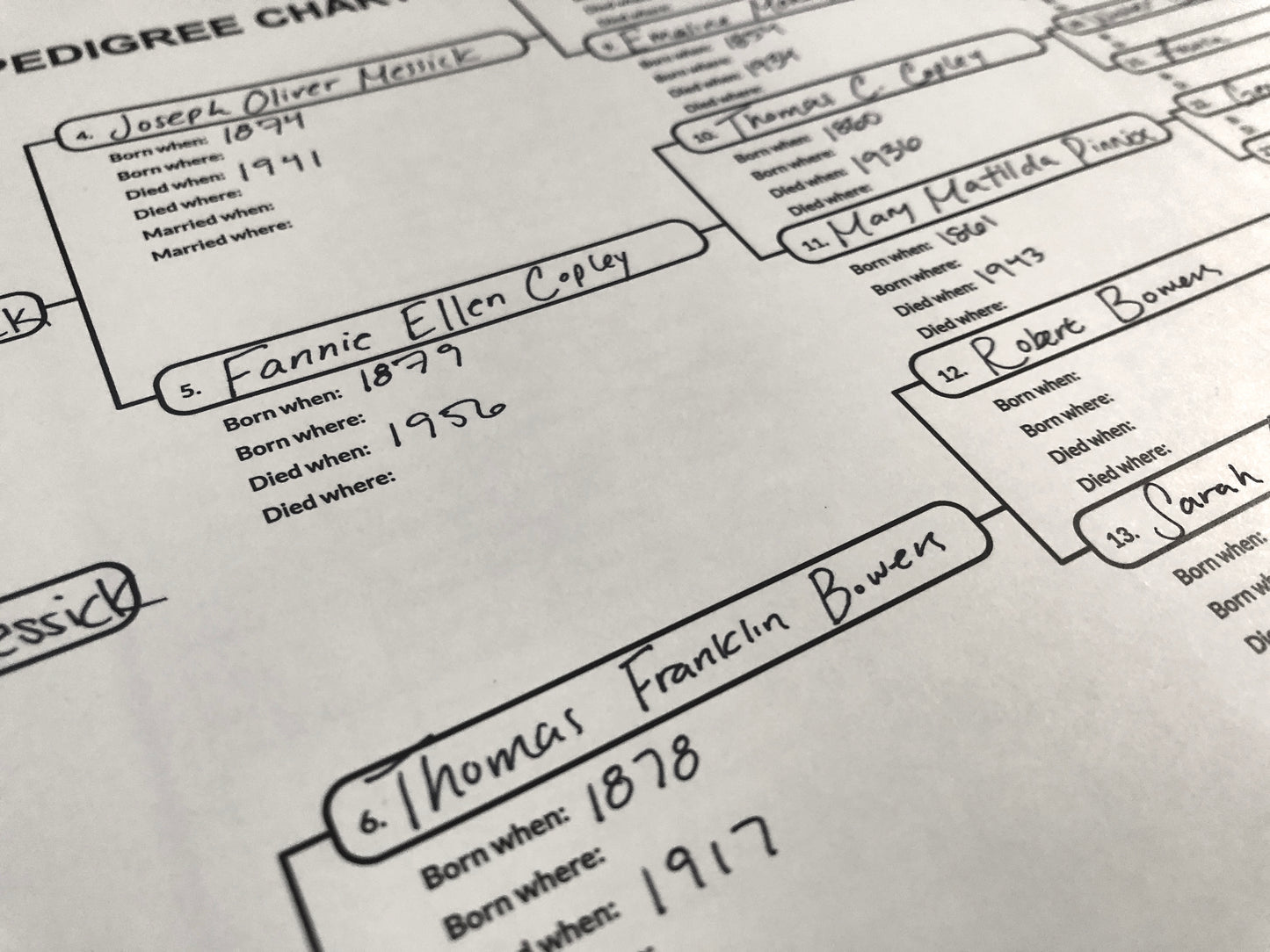 Pedigree charts | 6-generation charts for tracking ancestry (10 LARGE PRINT sheets)