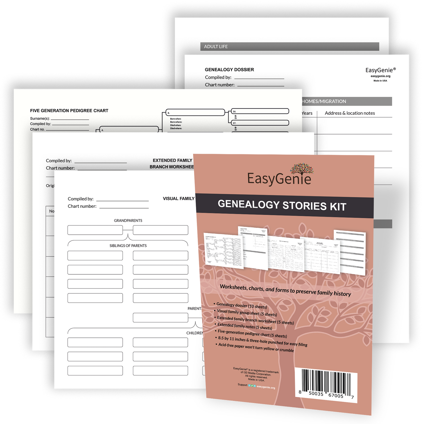 Jumbo Genealogy Starter Bundle
