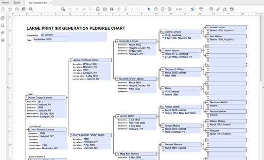 6 Generation LARGE PRINT Fillable PDF Download (Helvetica, 17 x 22 inches)