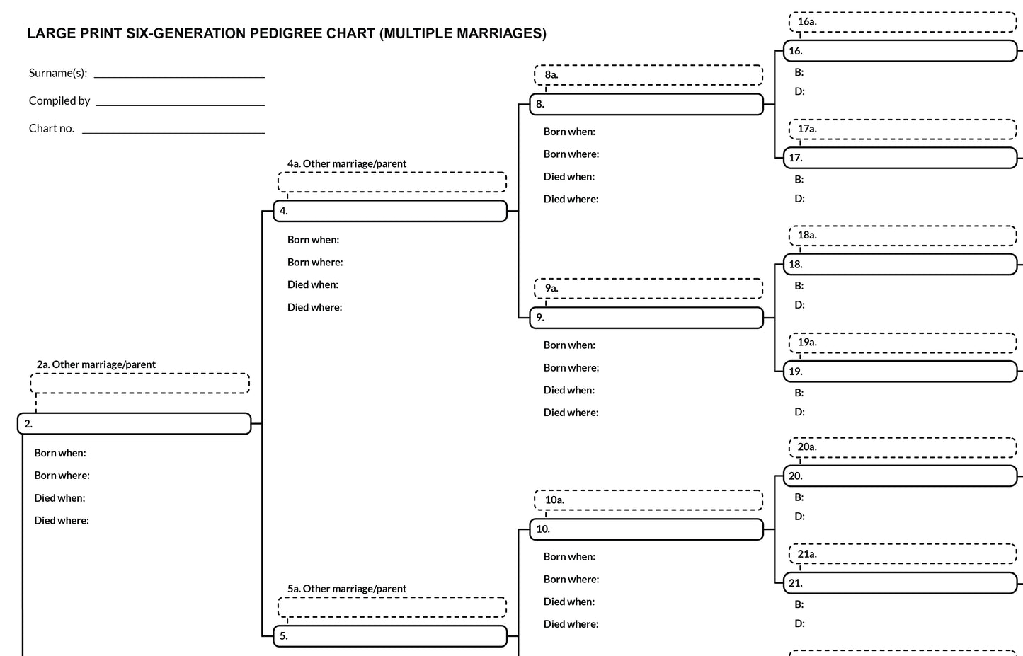 Large Print 6 Generation Pedigree Chart with Multiple Spouses (17 x 22 Inches, Single Sheet)