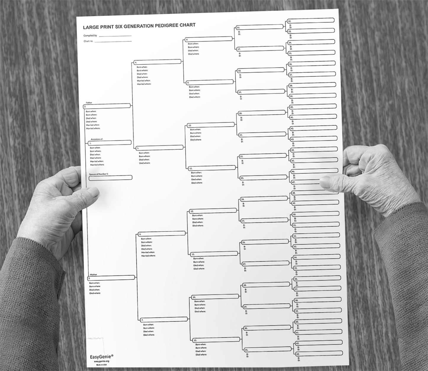 Pedigree charts | 6-generation charts for tracking ancestry (10 LARGE PRINT sheets)