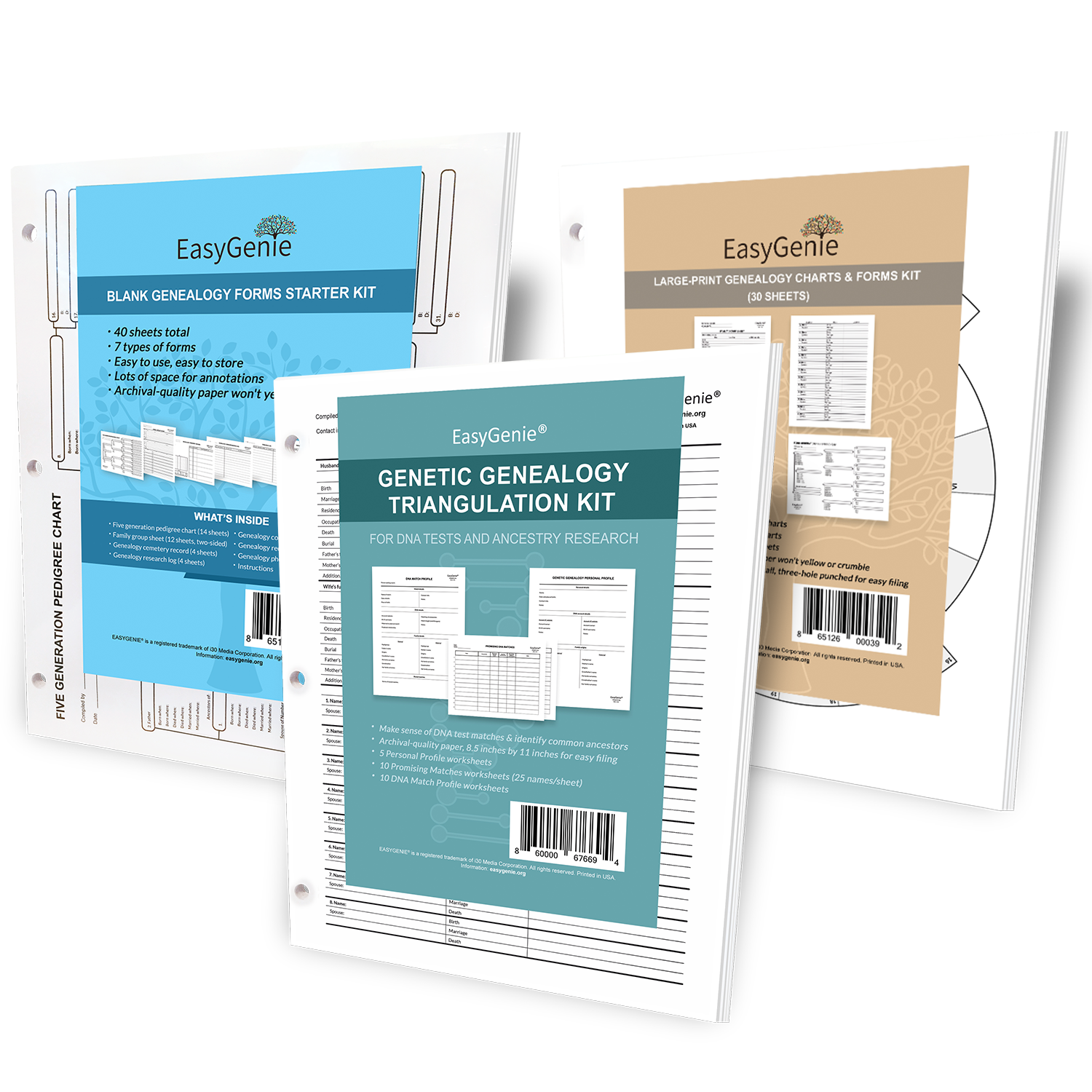 EasyGenie Large Print Two-Sided Family Group Sheets for Ancestry (30  Sheets) Archival-Quality Genealogy Forms : : Home