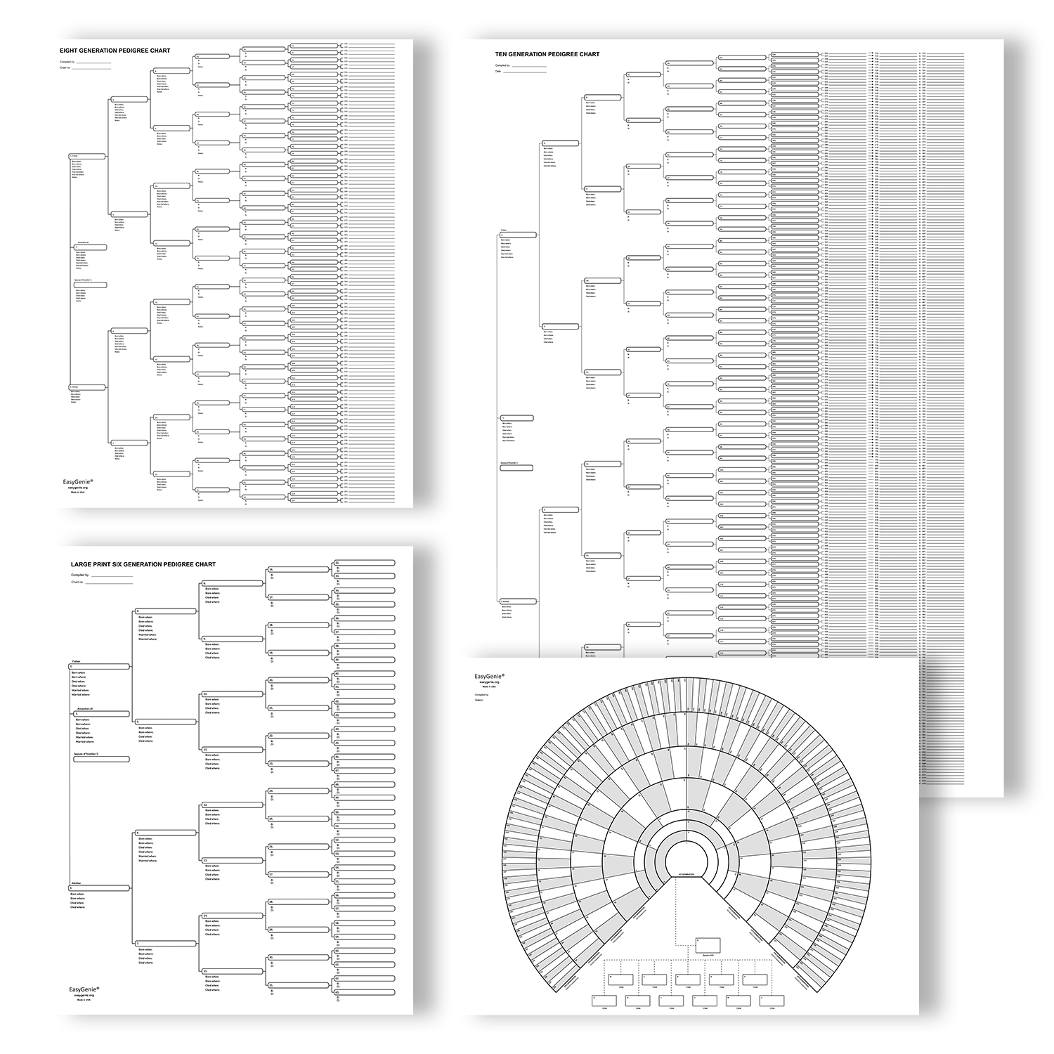 Genealogy Fan Chart Template Excel - Fill Online, Printable