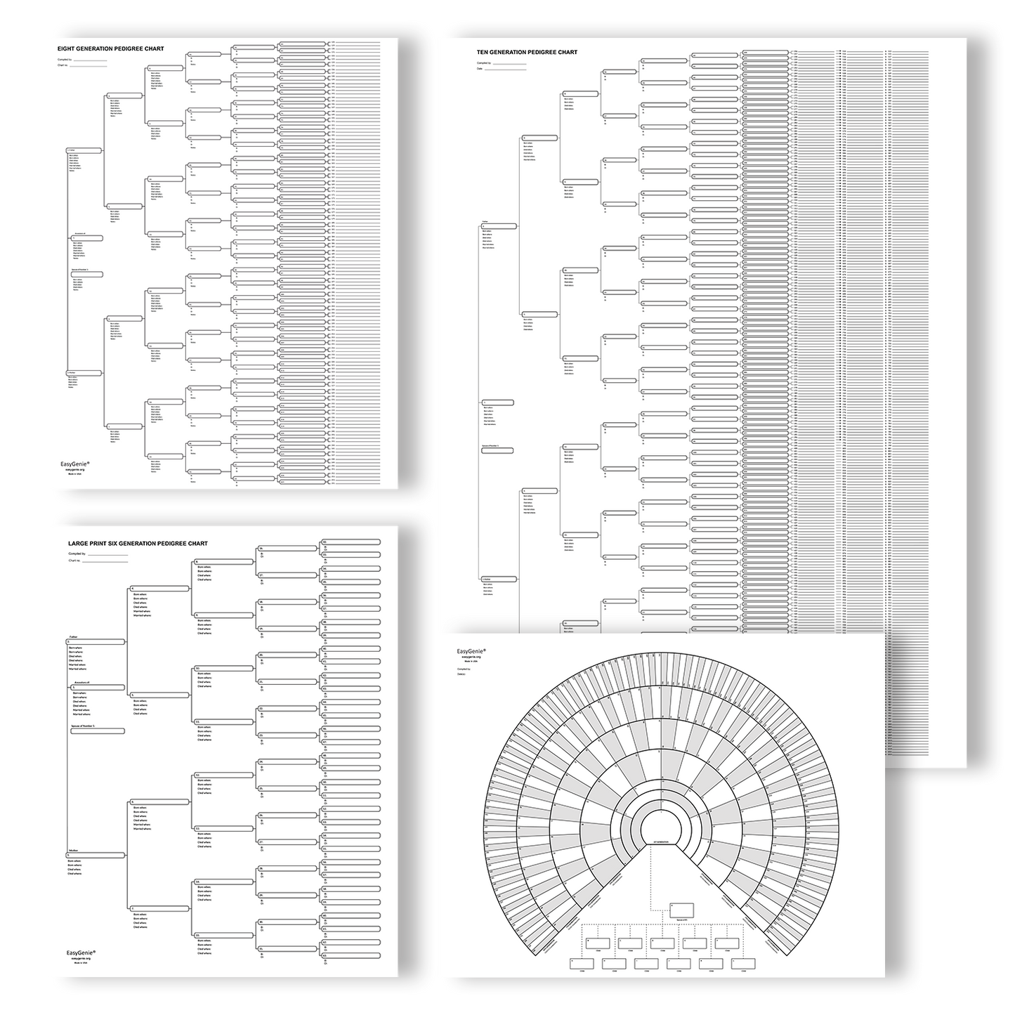 Big Genealogy Charts Sampler