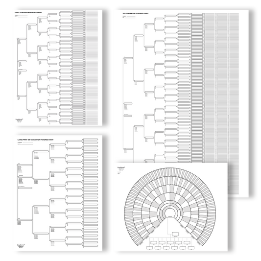 Big Genealogy Charts Sampler