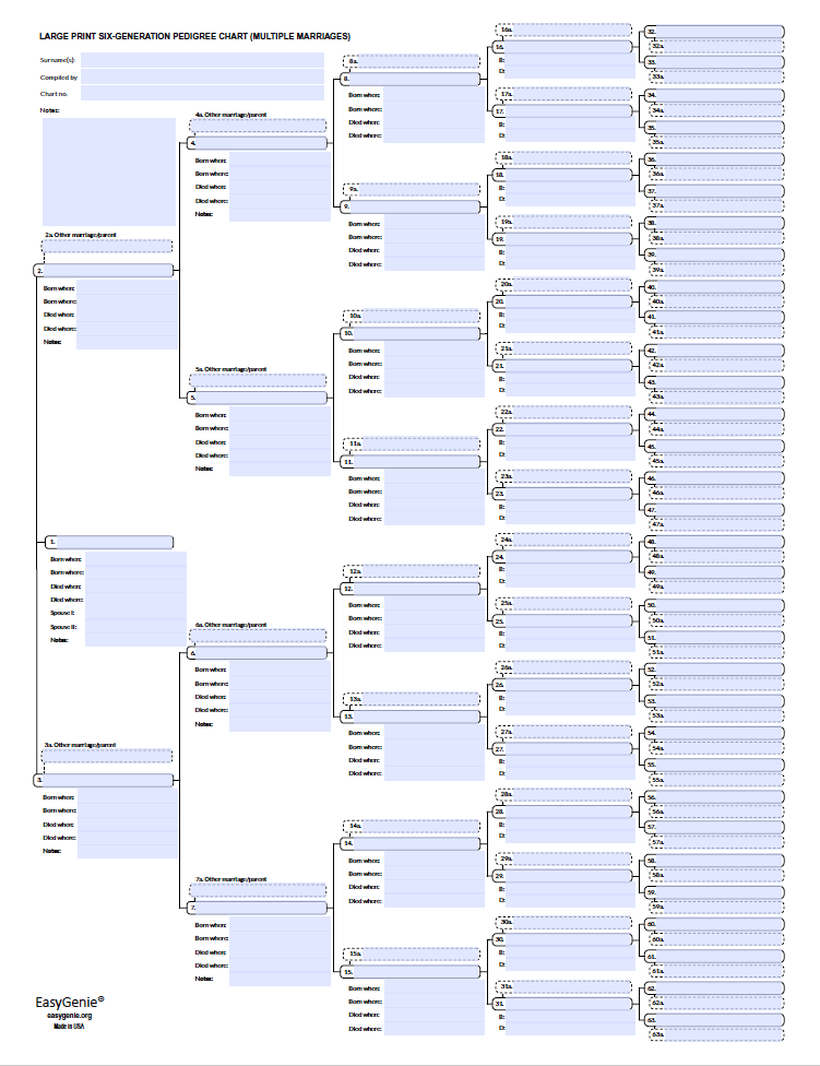 PDF Download: Blended Family Genealogy Forms Kit (2 Forms with Multiple Spouses)