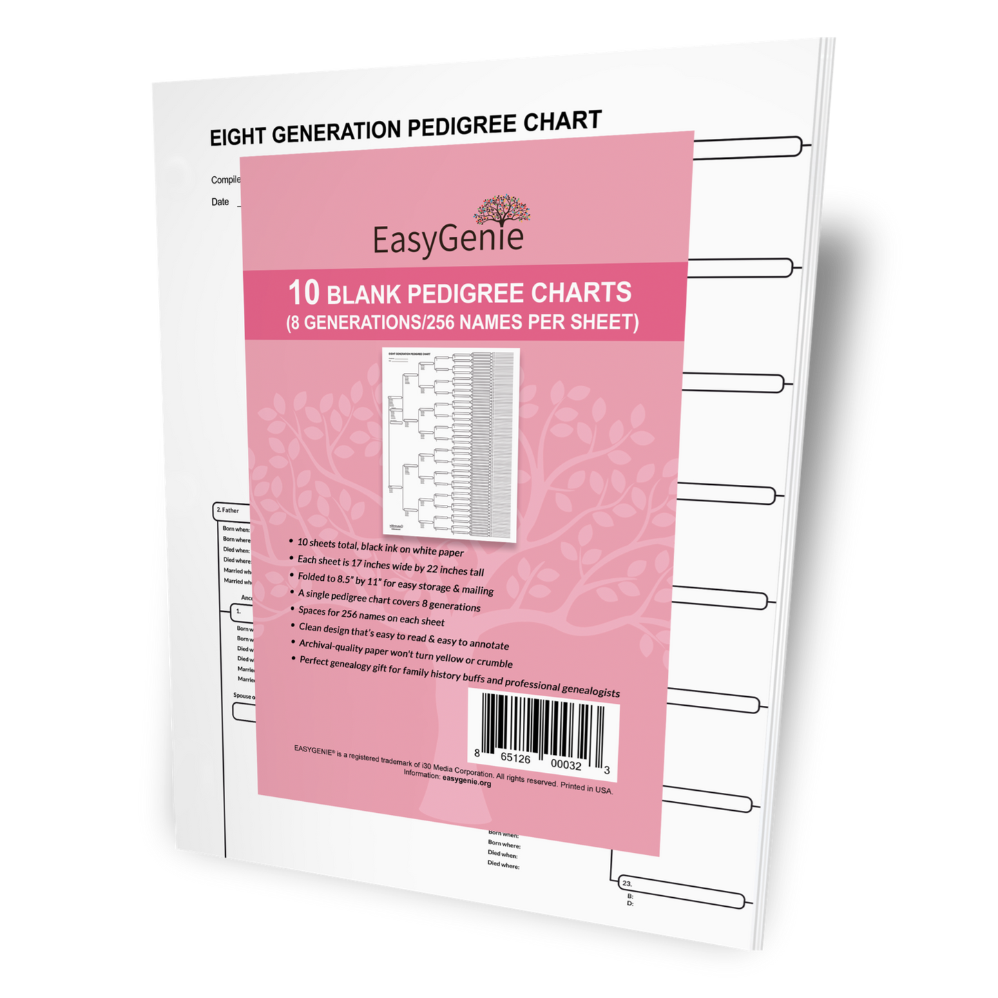 Professional Genealogy Charts Gift Bundle