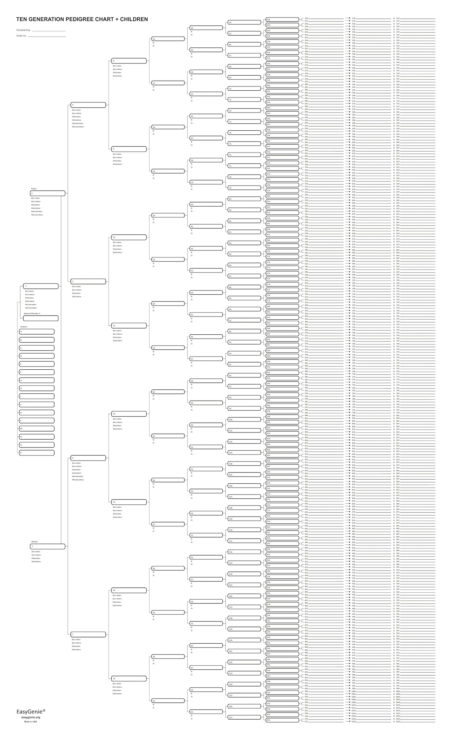 Big Genealogy Charts Sampler