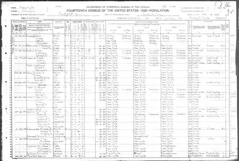 how-is-a-census-substitute-useful-for-genealogy-easygenie