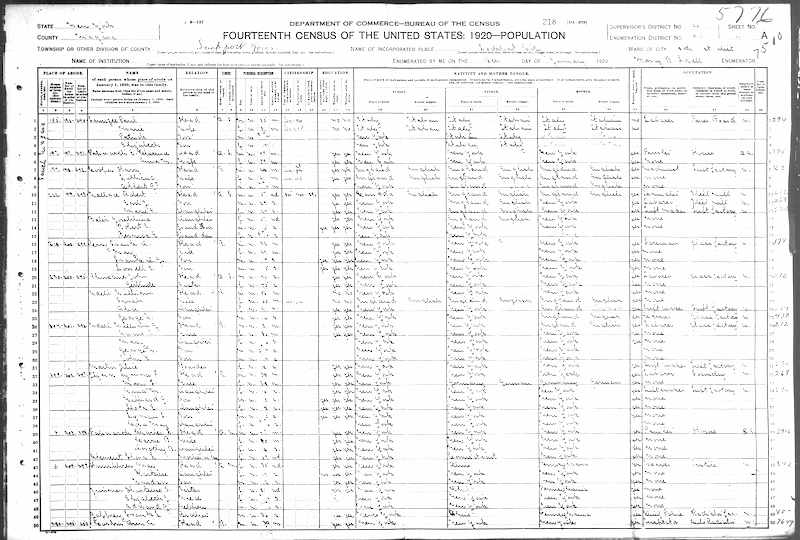 How is a census substitute useful for genealogy?