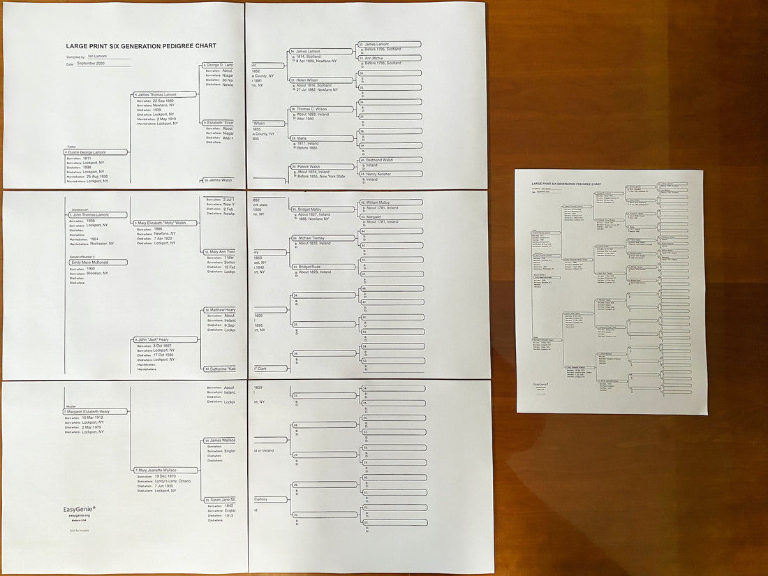 Announcing our largest fillable genealogy PDF yet