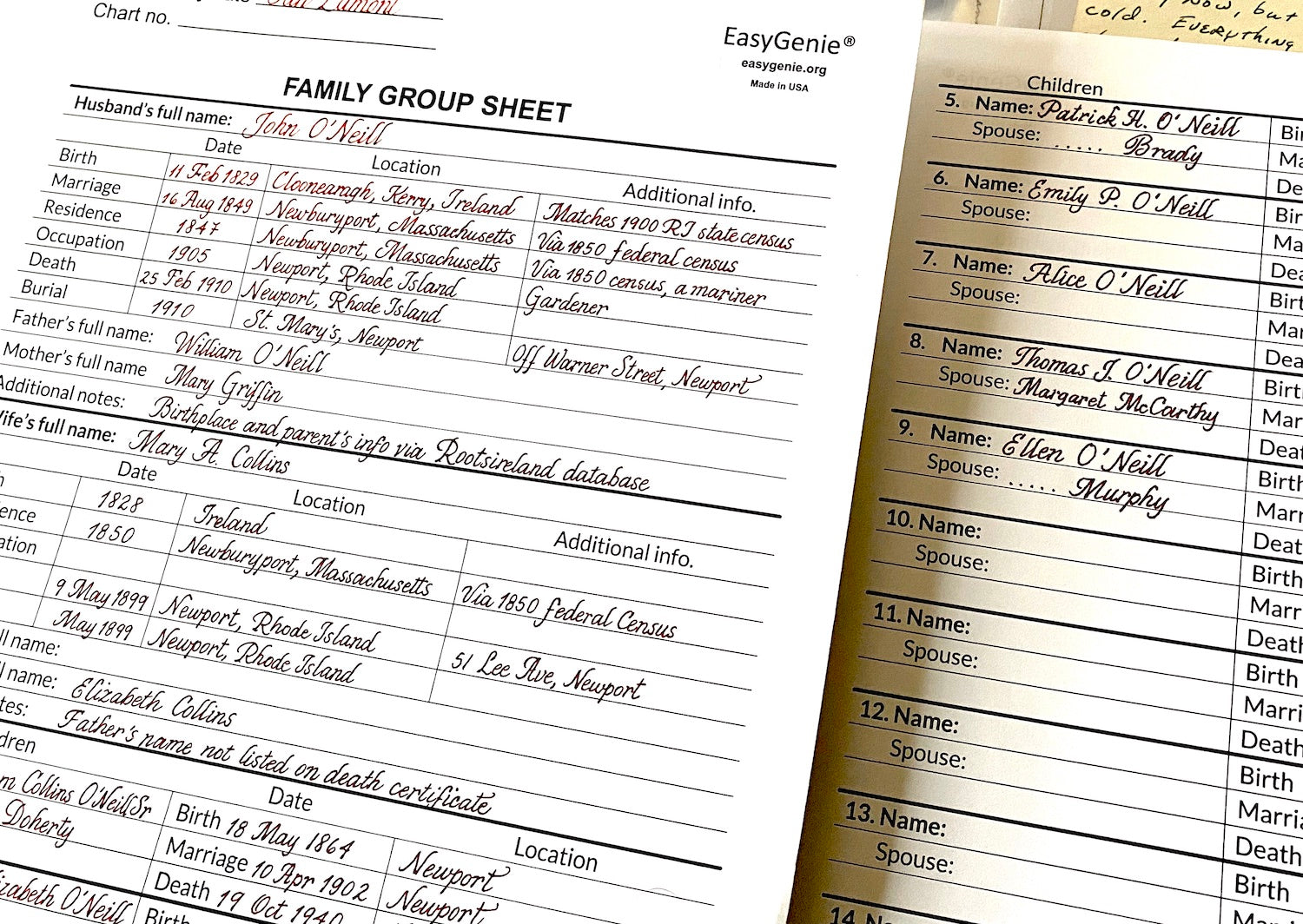 A five-star review for our genealogy newsletter and large-print forms ...