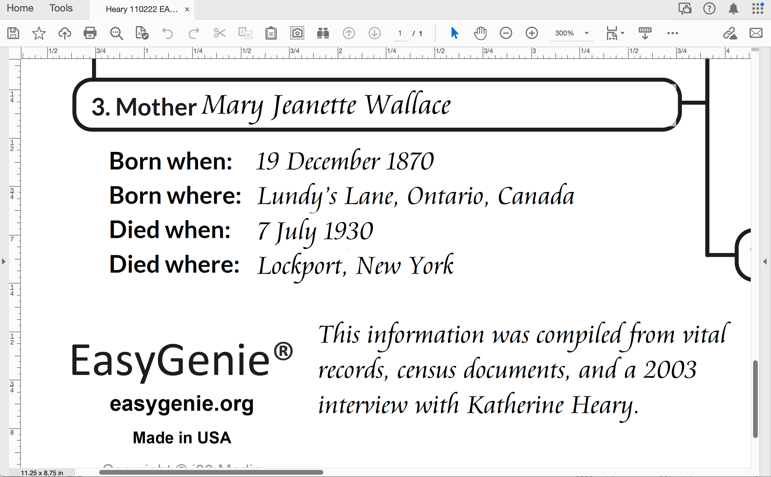 Cursive genealogy PDF is a hit! – EasyGenie
