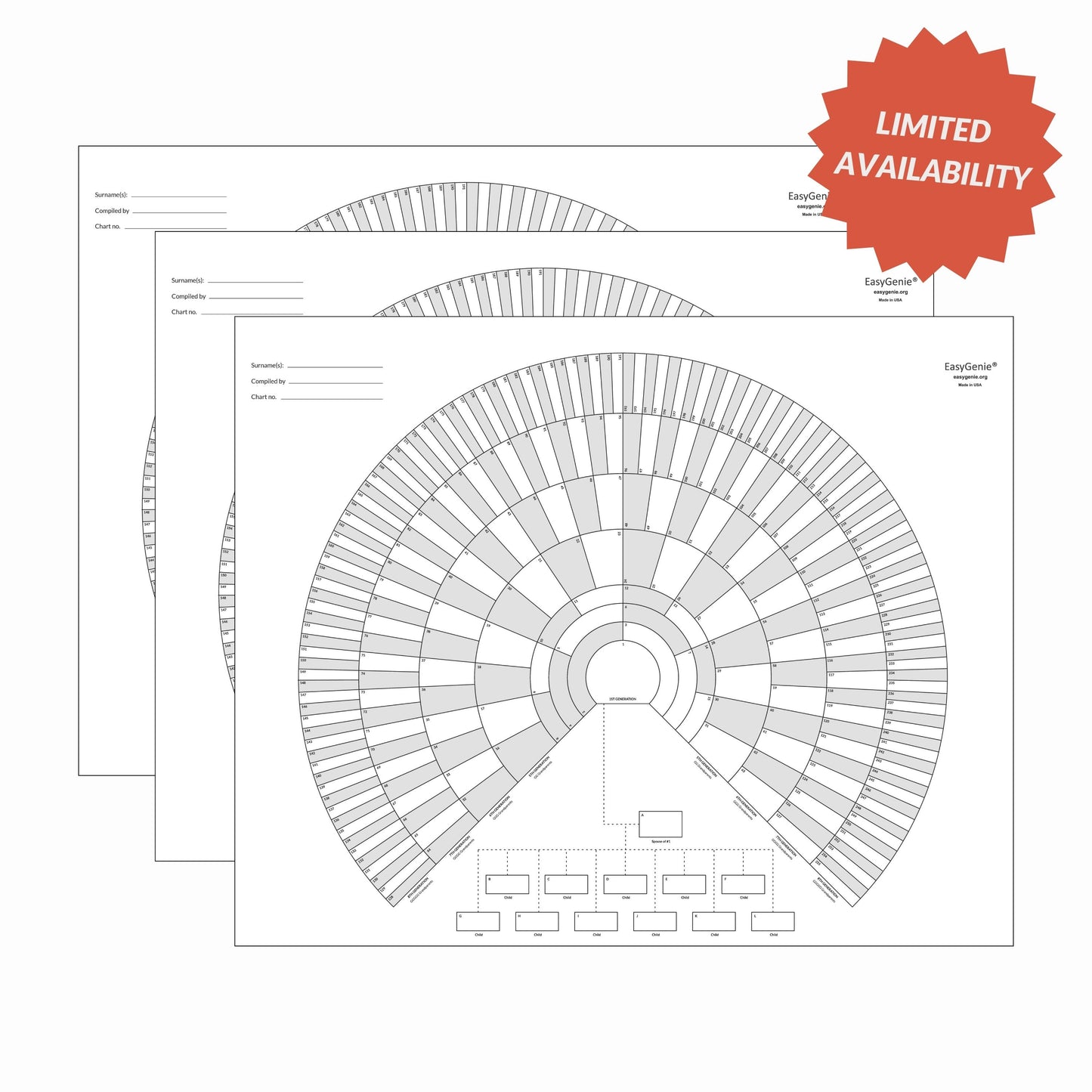 Unfolded 9-generation fan charts (3 pack)