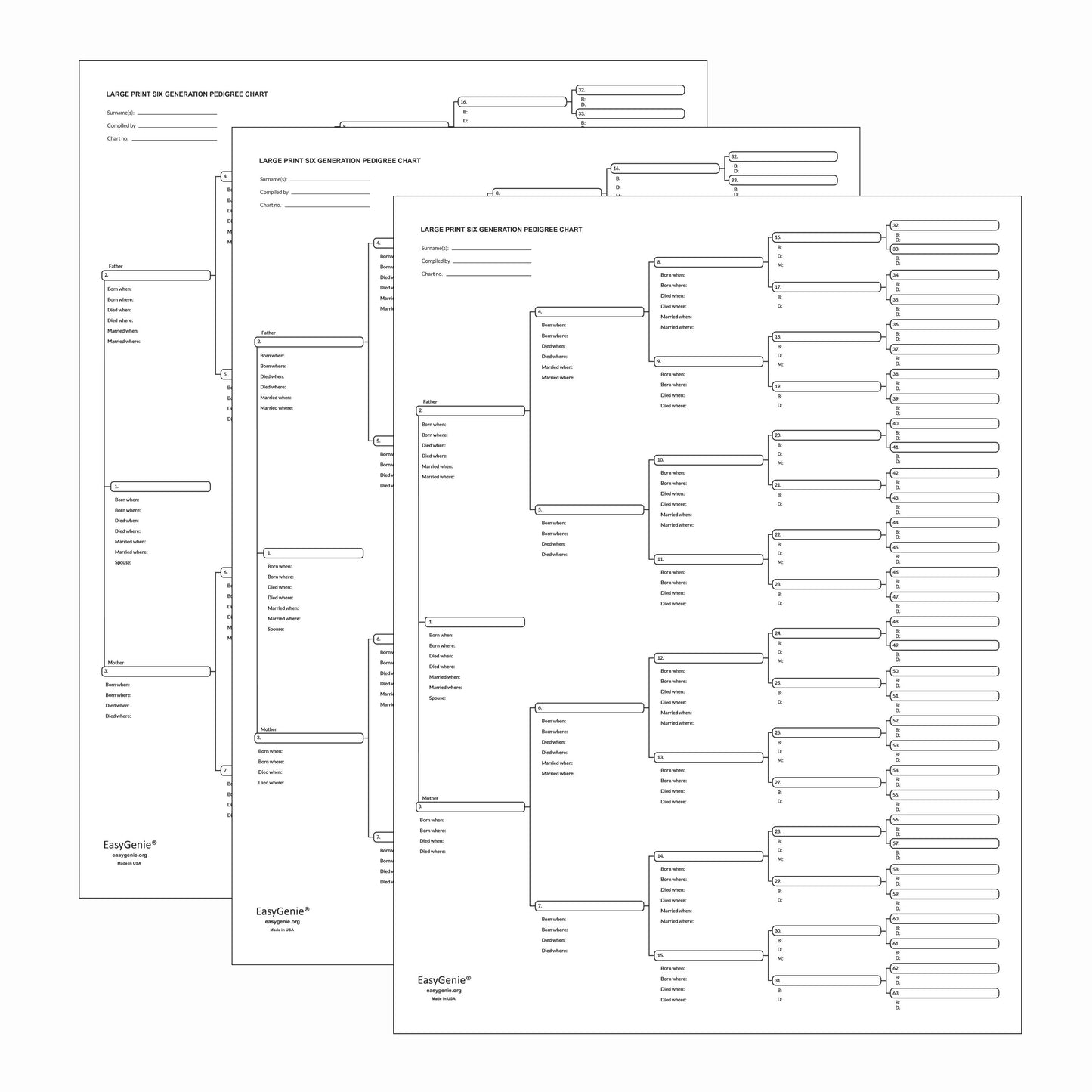 Unfolded 6-generation pedigree charts (3 pack)