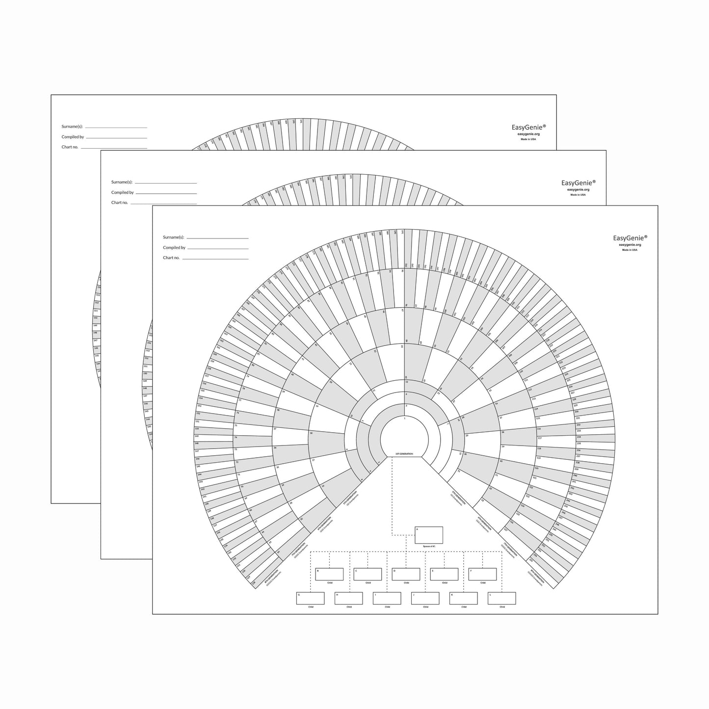 Unfolded 9-generation fan charts (3 pack)