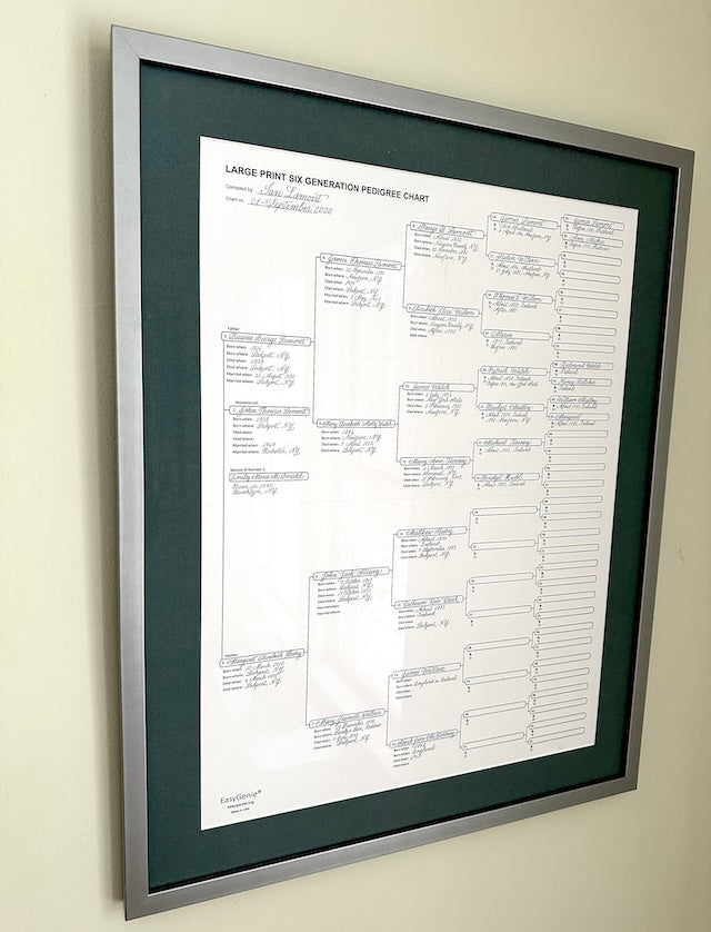 Unfolded 6-generation pedigree charts (3 pack)