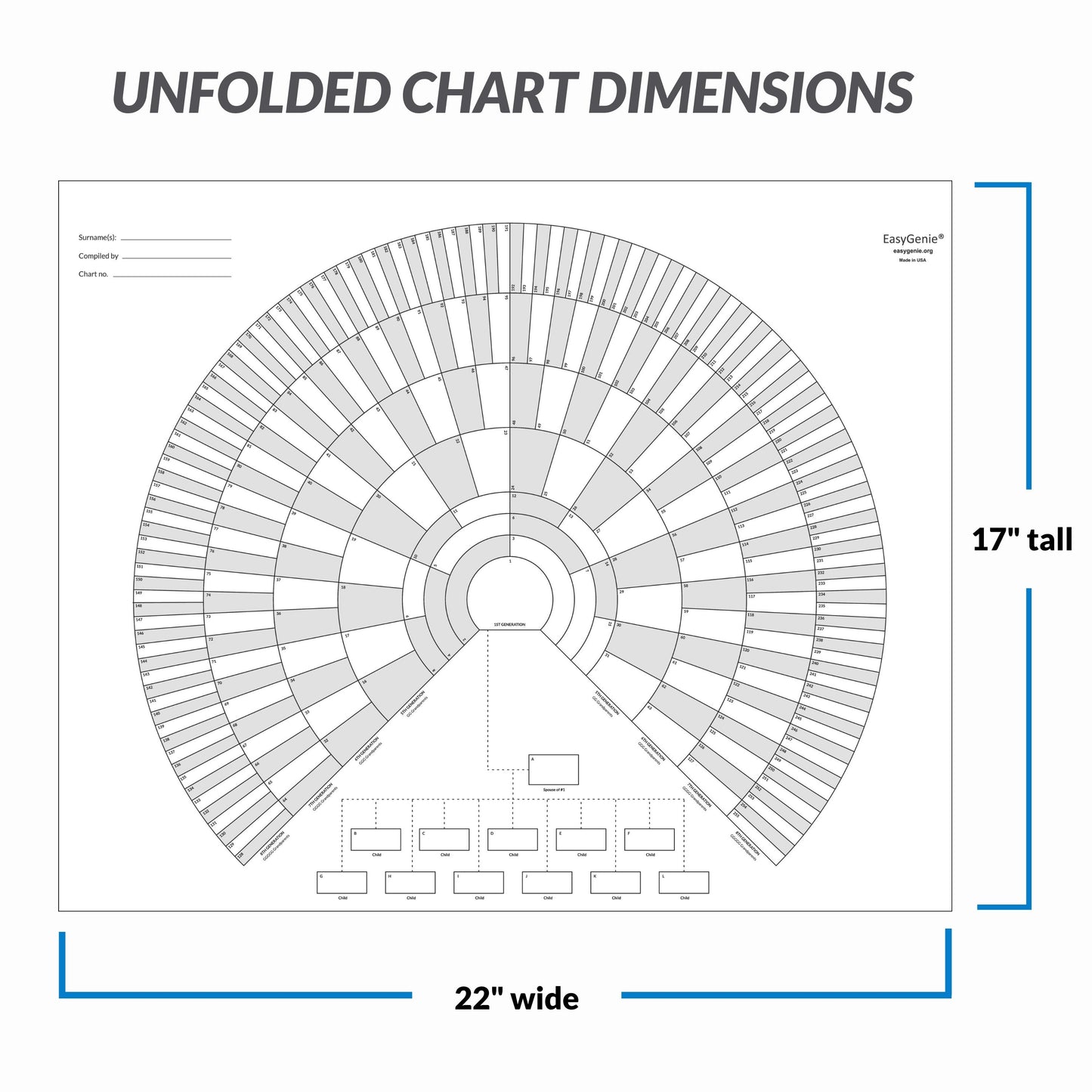 Unfolded 9-generation fan charts (3 pack)