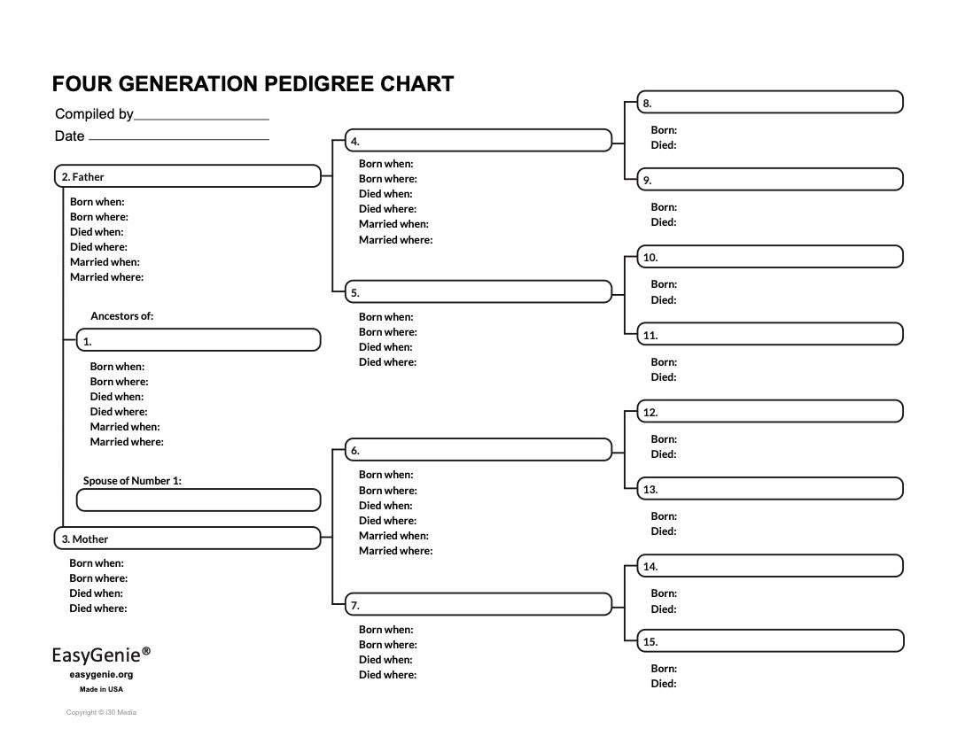 Genealogy PDF: 4 Generation Pedigree Chart (Helvetica, 11 x 8.5 inches)