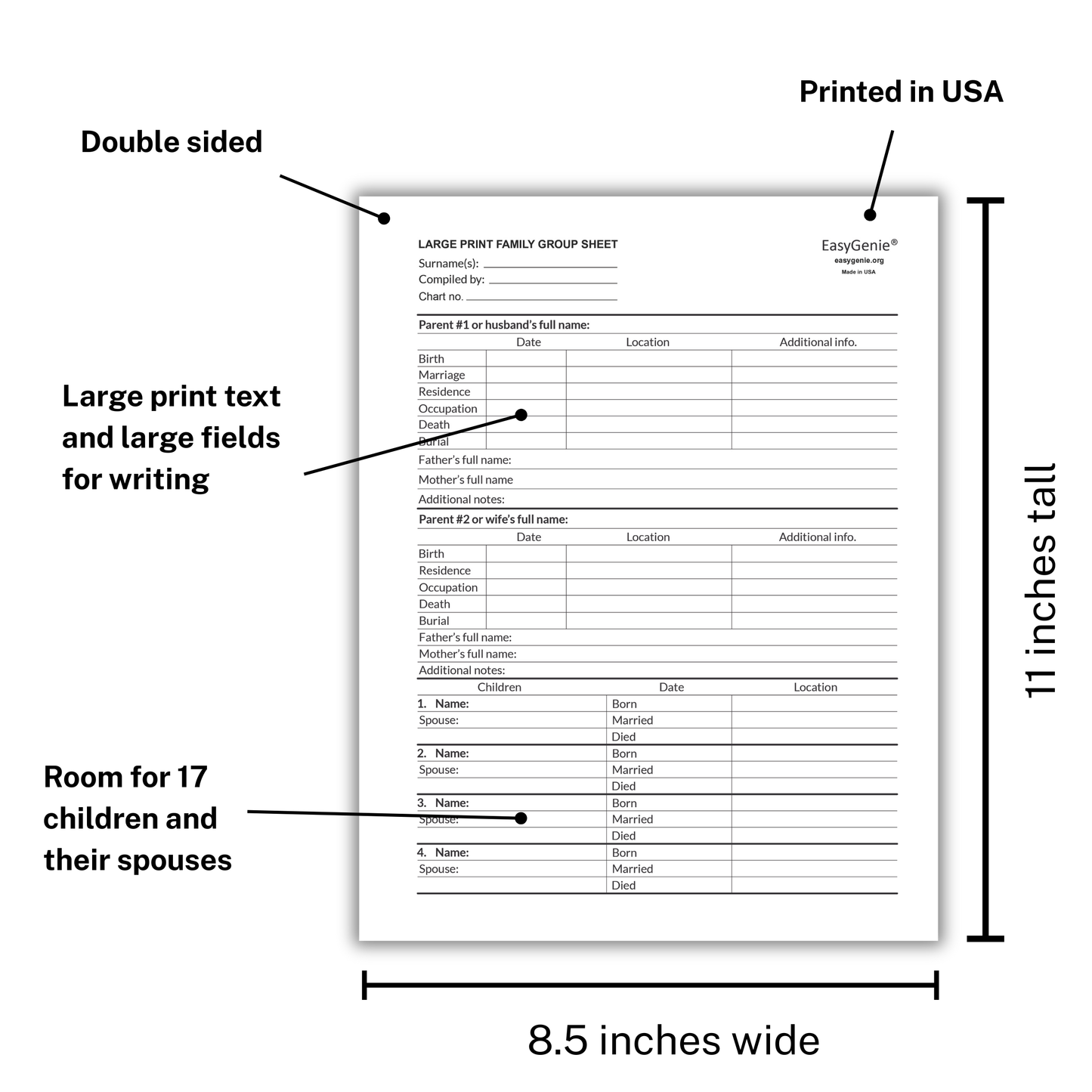 BULK ORDER large print Family Group Sheets for Genealogists (50 sheets)