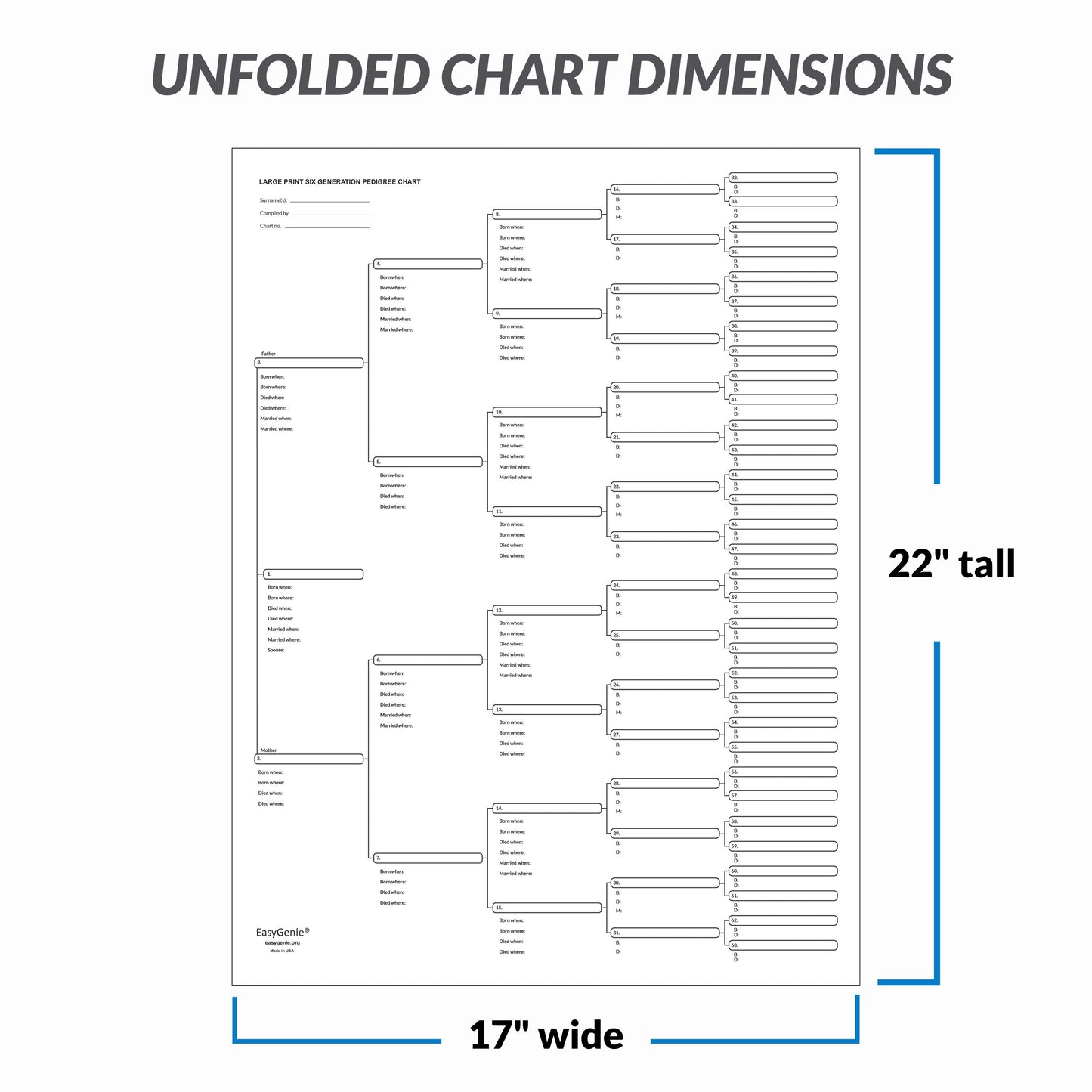 Unfolded 6-generation pedigree charts (3 pack)