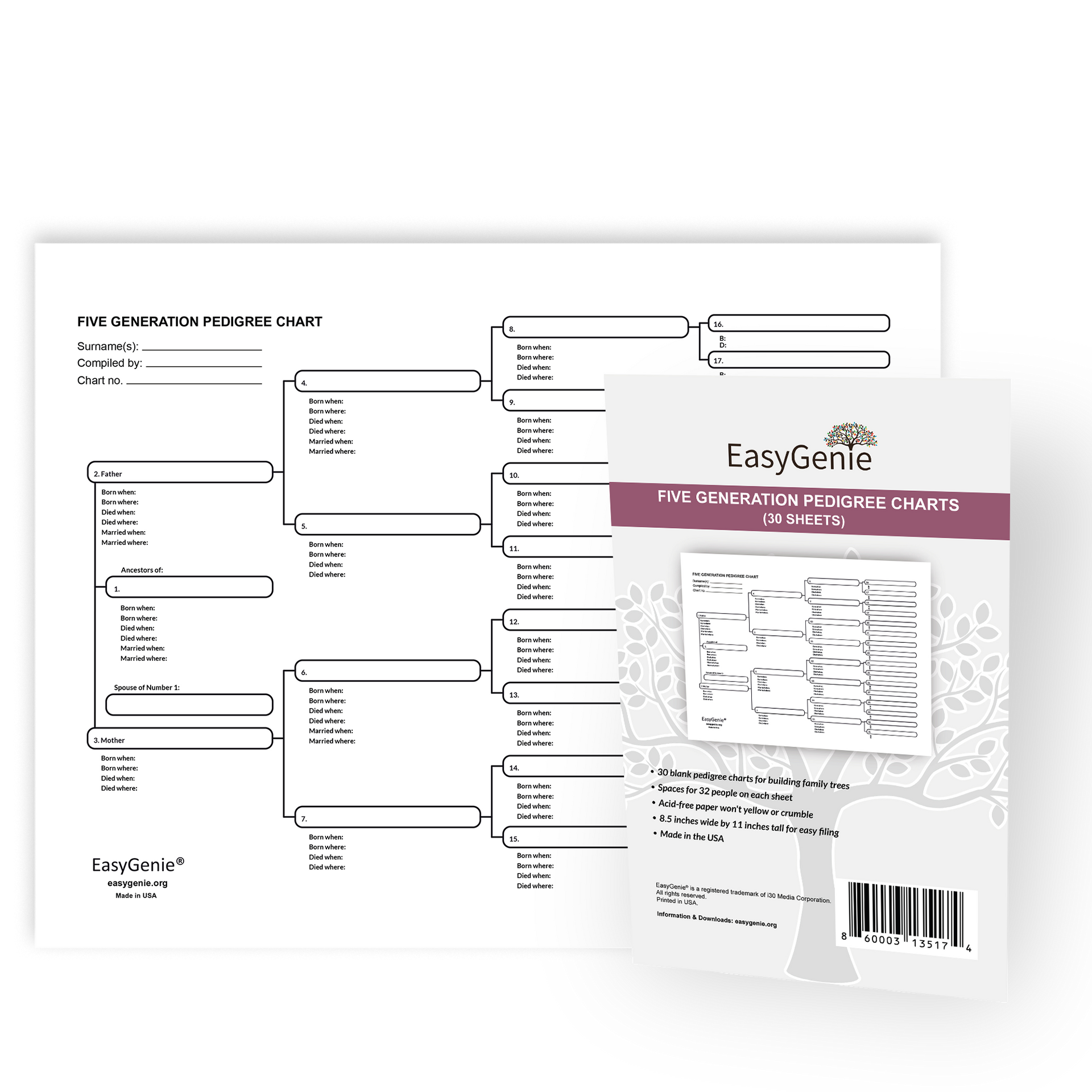 Pedigree charts  6-generation charts for tracking ancestry (10 LARGE –  EasyGenie