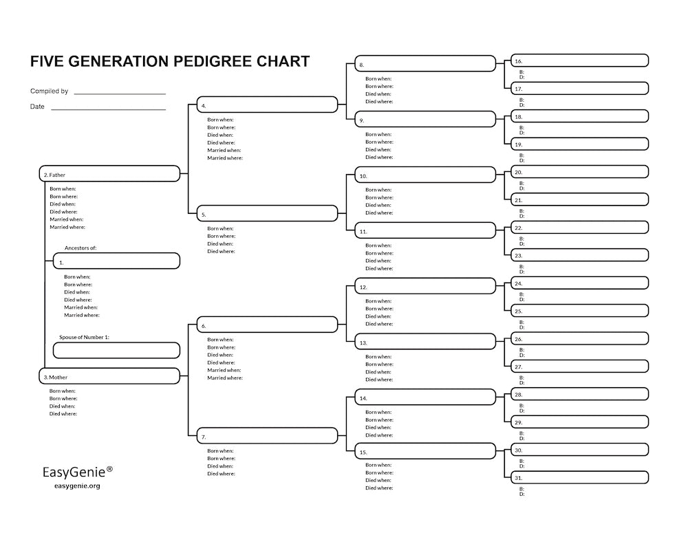 EasyGenie Large Print Two-Sided Family Group Sheets for Ancestry (30  Sheets) Archival-Quality Genealogy Forms
