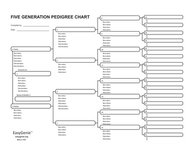 Digital Download: 5-generation pedigree chart (PDF)