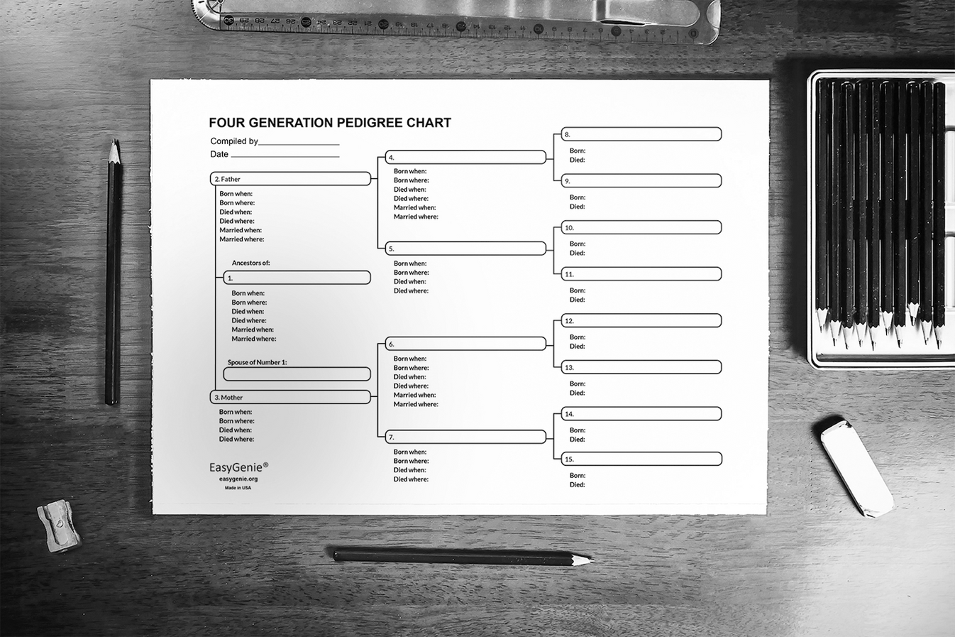 Large-Print Genealogy Charts and Forms Kit (30 Sheets) β EasyGenie