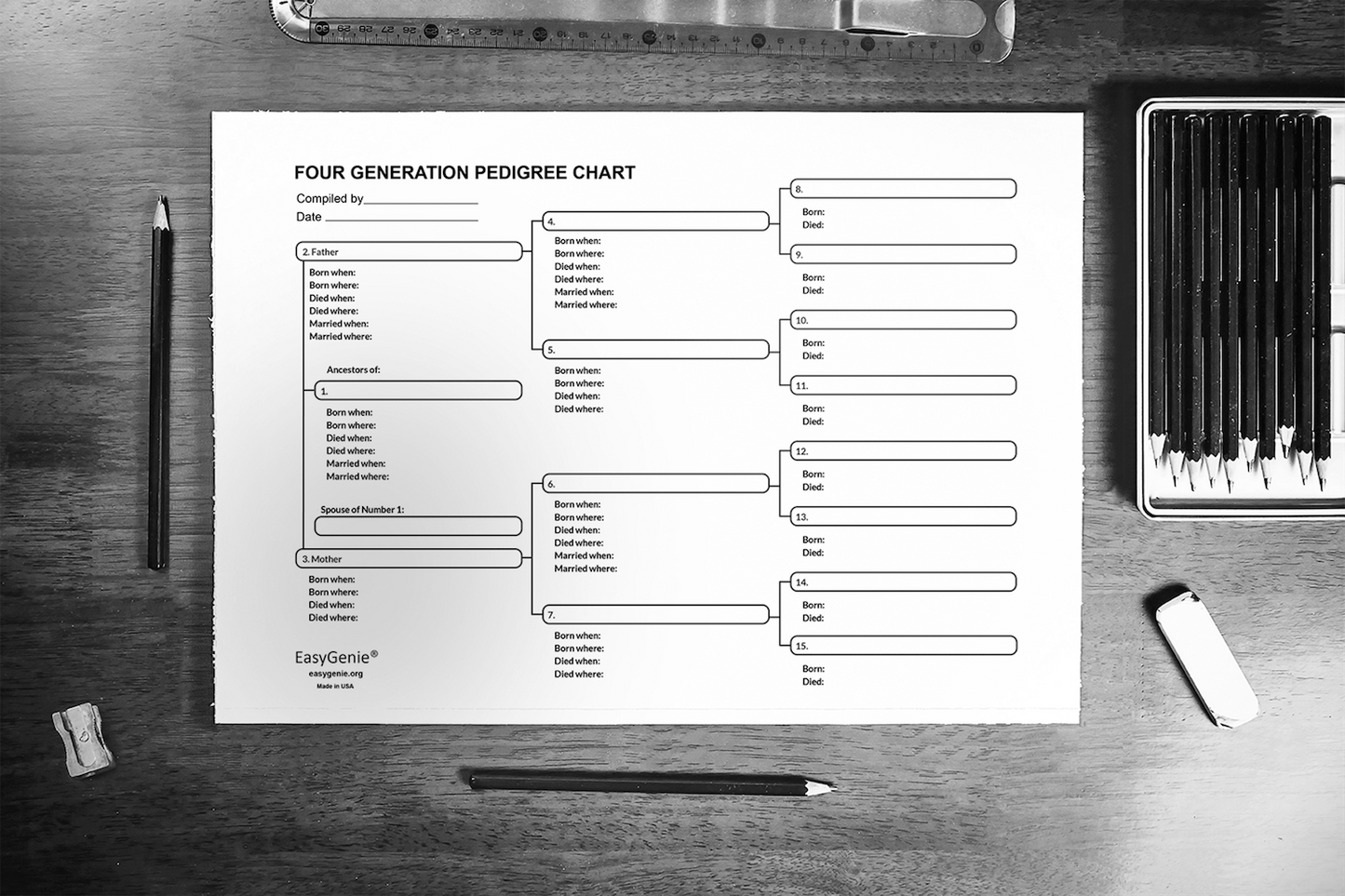 Large-Print Genealogy Charts and Forms Kit (30 Sheets)
