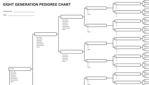 TEN Blank Pedigree Charts (8 generations/256 names per sheet) – EasyGenie