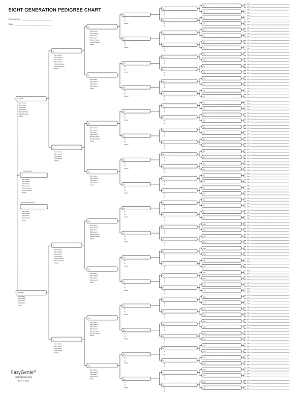 Big Genealogy Charts Sampler – EasyGenie