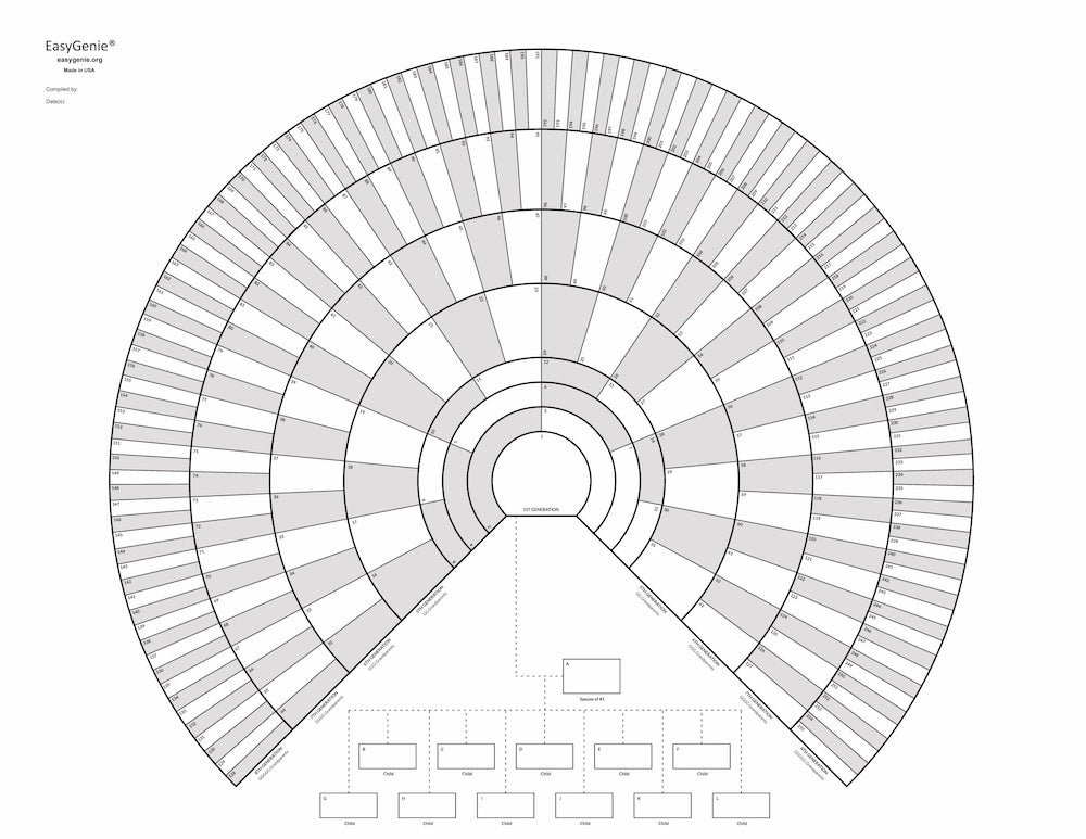 TEN Blank Fan Charts with Family Members (9 Generations/267 Names)