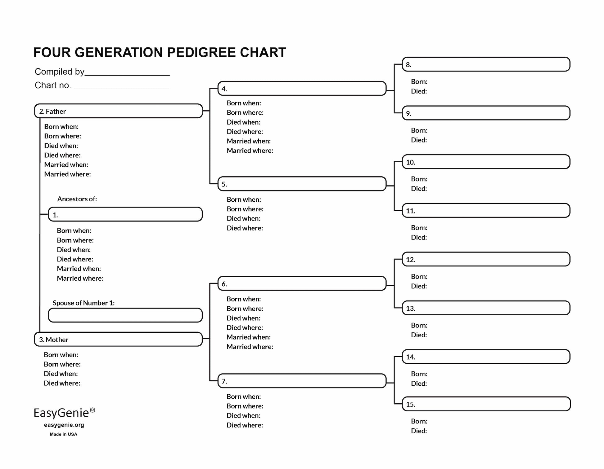EASYGENIE Large-Print Genealogy Charts and Forms Kit (30 Sheets) Includes 10 Pedigree Charts, 10 Fan Charts, and 10 Family Group Sheets