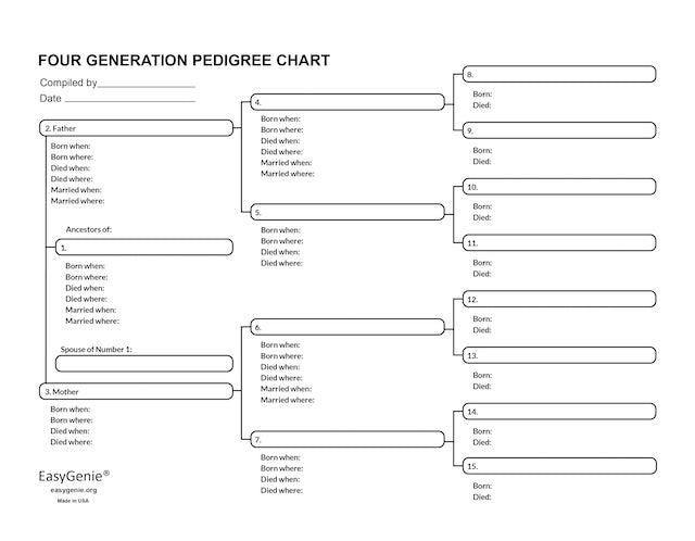Digital Download: 5-generation pedigree chart (PDF) – EasyGenie