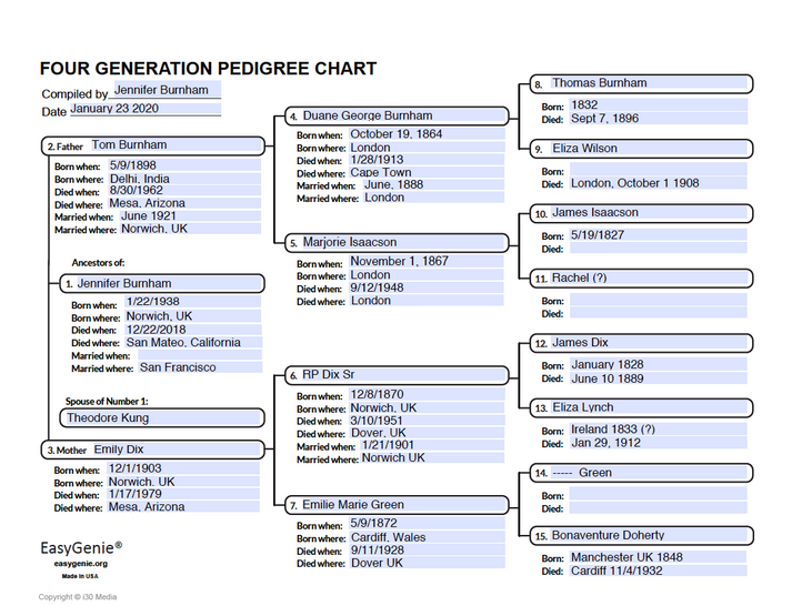 Fillable Pedigree Chart.pdf Pedigree worksheet PDF set | LARGE PRINT fillable pedigree chart & fam ...