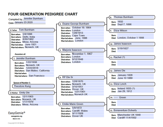 Genealogy PDF: 6 Generation Pedigree Chart, Cursive Text Entry (Aramis, 17  x 22 inches)