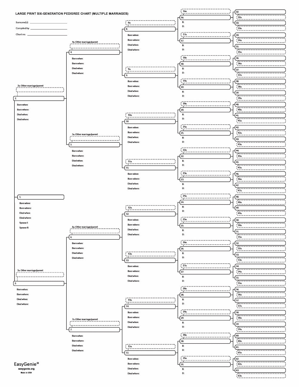 Large Print 6 Generation Pedigree Chart with Multiple Spouses (17 x 22 Inches, Single Sheet)